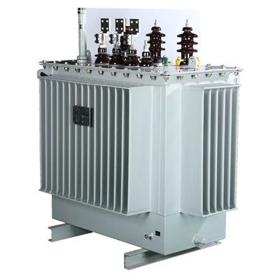 Eiropas lietojuma 30/0,4 KV strāvas transformators